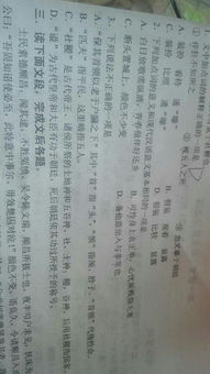 高一語(yǔ)文知識基礎分析