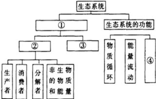 通過激素的調(diào)節(jié)基礎(chǔ)知識問題