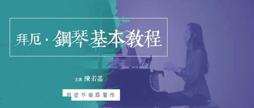 藝術(shù)系基礎知識網(wǎng)課