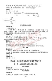 九下化學伴你學基礎(chǔ)知識梳理答案