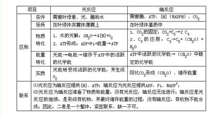 光合作用基礎知識點