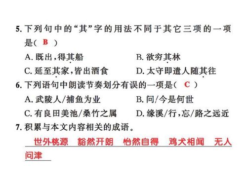 桃花源記基礎(chǔ)知識題目
