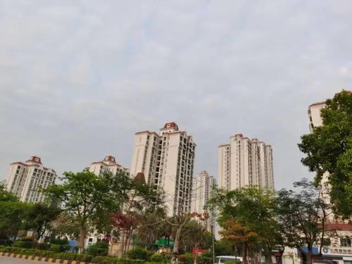 地段,基礎知識,房地產(chǎn)