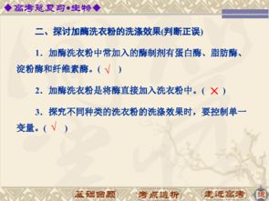 高中生物基礎(chǔ)知識(shí)精講
