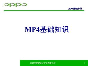 小說基礎知識ppt