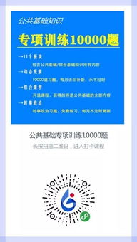 基礎(chǔ)知識,專項,訓(xùn)練