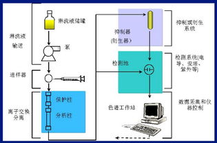 離子色譜基礎(chǔ)知識試題