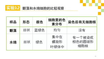 基礎(chǔ)知識,重要性,高中生物