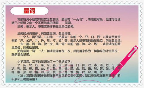 教師應(yīng)具備的基礎(chǔ)知識