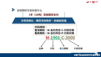 股票小白入門基礎(chǔ)知識(shí),股票圖形入門基礎(chǔ)知識(shí),股票期貨入門基礎(chǔ)知識(shí)