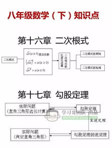 基礎(chǔ)知識,初中數(shù)學(xué),整理,最新