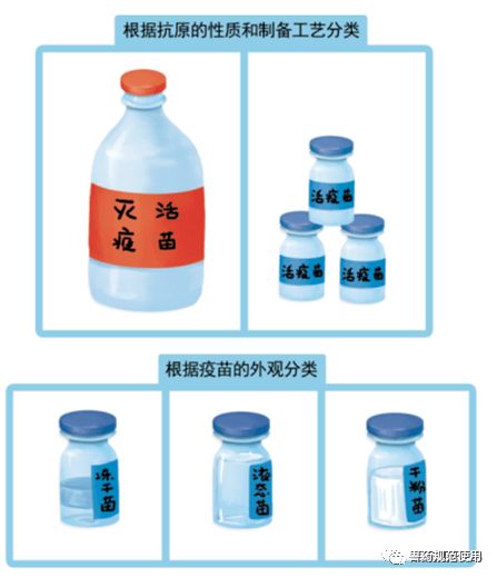 獸用疫苗接種的基礎(chǔ)知識(shí)