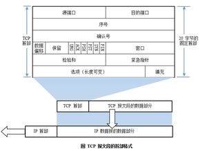 計(jì)算機(jī)網(wǎng)絡(luò)第三版基礎(chǔ)知識(shí)總結(jié)