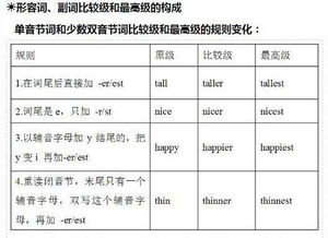 中職英語基礎(chǔ)知識匯總