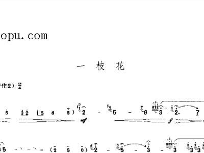 民樂(lè)嗩吶吹奏的基礎(chǔ)知識(shí)