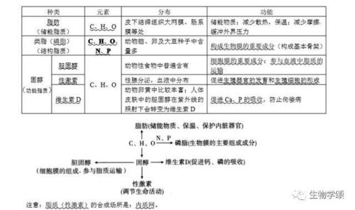 高中基礎(chǔ)知識生物