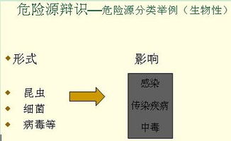 安全管理安全基礎(chǔ)知識講義