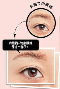 整形類基礎(chǔ)知識