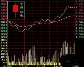 公共基礎知識股票