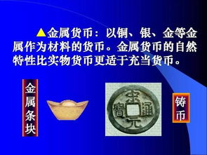 基礎(chǔ)知識,金融