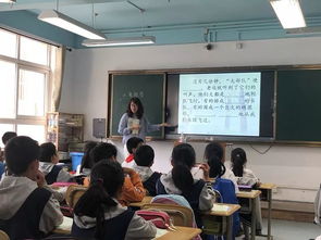 夯實(shí),基礎(chǔ)知識(shí),小學(xué),教學(xué)