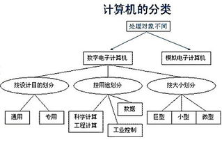 計(jì)算機(jī)基礎(chǔ)知識的概念