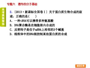 遺傳分子基礎(chǔ)易錯易混知識點