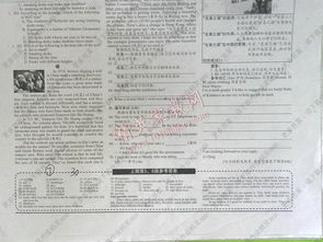 九級學(xué)英語基礎(chǔ)知識專練報紙