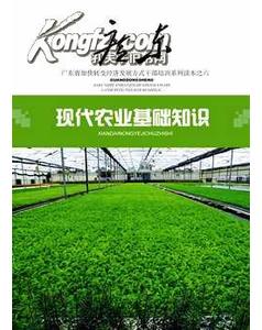 農業(yè)方面的基礎知識