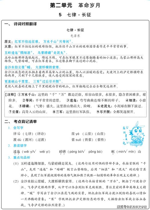 打好,基礎(chǔ)知識,教學(xué)