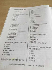 基礎(chǔ)知識,試題,影像,專業(yè)