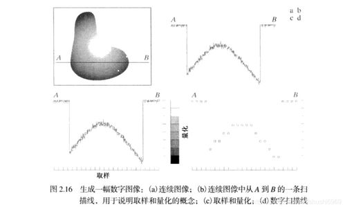 醫(yī)療數字影像基礎知識