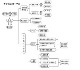 基礎(chǔ)知識(shí),注重,高中政治,教學(xué)中