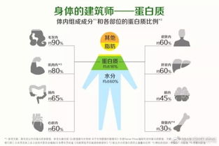 安利基礎(chǔ)知識(shí)蛋白質(zhì)上簡便書