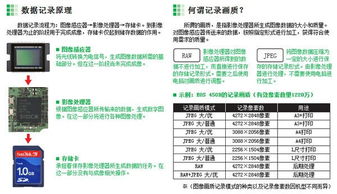 單反基礎(chǔ)知識文檔