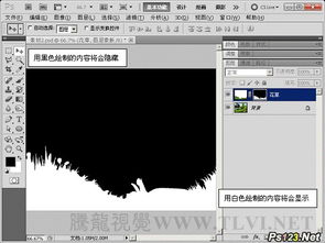 ps蒙版基礎(chǔ)知識(shí)