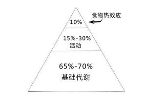 怎樣才能提高基礎知識