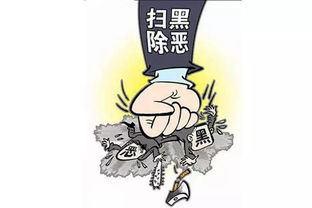 掃黑除惡專項斗基礎(chǔ)知識應(yīng)知應(yīng)會