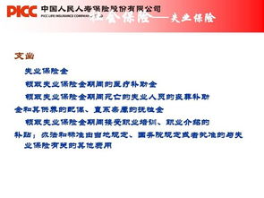 社保,基礎(chǔ)知識,協(xié)管員
