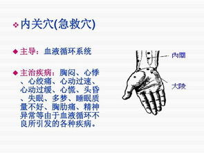 救助,基礎(chǔ)知識,緊急