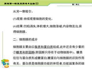 高中淘寶基礎(chǔ)知識