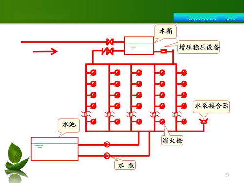 共青團基礎知識庫,小學基礎知識庫,基礎藥學知識庫