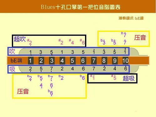 十孔口琴的基礎(chǔ)知識