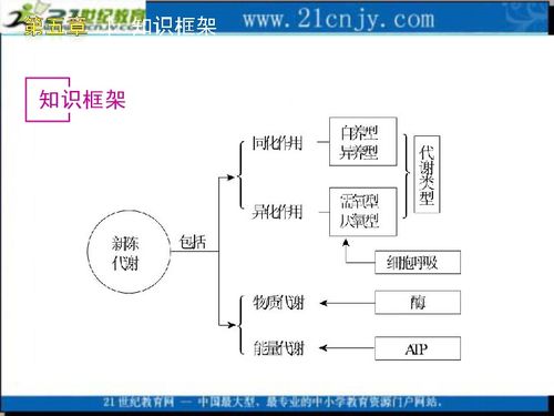 微生物基礎知識筆記,微生物基礎知識試題,微生物檢驗基礎知識
