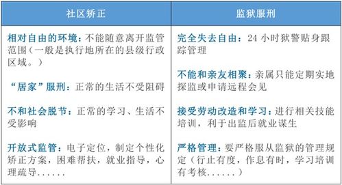 社區(qū)矯正考試基礎(chǔ)知識