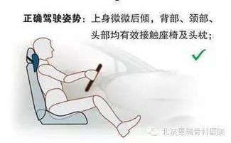 車(chē)輛駕駛員職業(yè)健康基礎(chǔ)知識(shí)