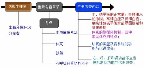基礎(chǔ)知識(shí)學(xué)科