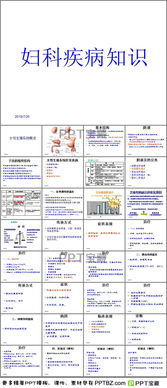 基礎(chǔ)知識(shí),生殖系統(tǒng),女性,ppt