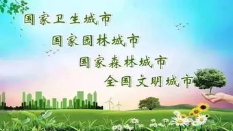 基礎(chǔ)知識,創(chuàng)建,森林,國家
