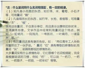 教育部高中暑假語文基礎(chǔ)知識(shí)